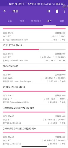 Screenshot_2020-12-30-17-41-45-192_org.proninyaroslav.libretorrent