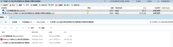 屏幕截图 2025-08-08 145444