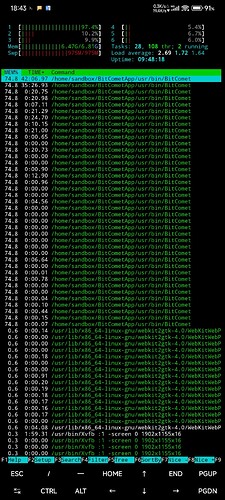 Screenshot_2024-02-04-18-43-37-894_com.termux