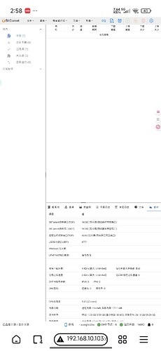 Screenshot_2025-07-26-02-58-25-480_com.lemurbrowser.exts.beta